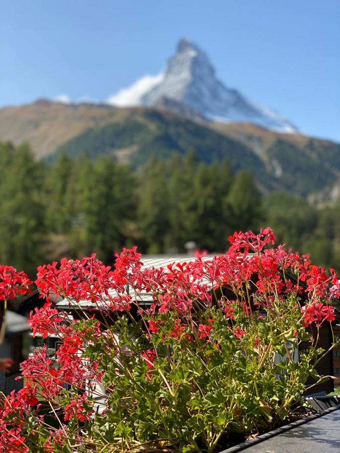 Chalet Bull Цермат Екстериор снимка